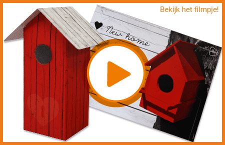 Case Direct Mailing Birdhouse Video