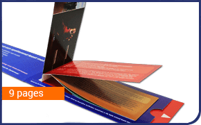 Flicker Book Direct Mail with a lot pages