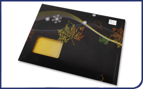 Birdhouse envelope direct mail