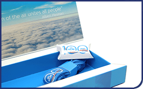Case Direct Mailing Brievenbusdoosje KLM