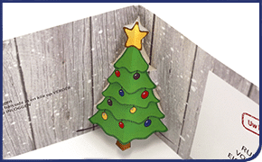 Case Direct Mailing End of Year Mailing Christmas Pop Up Card