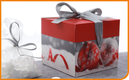 Case Direct Mailing End of Year Mailing Christmas Gift Box