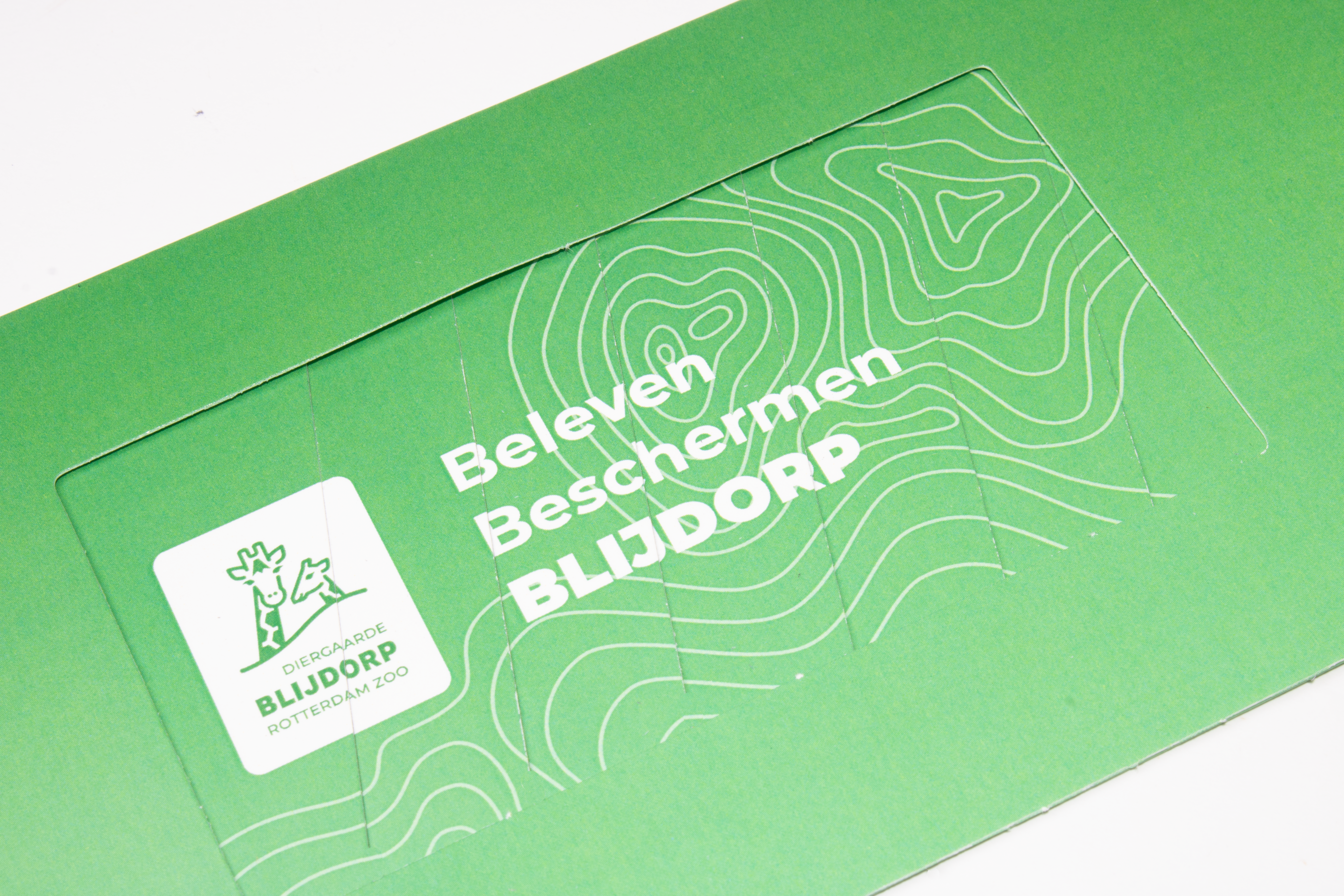 Quantes Grafimedia uses LocoMail's Changecard to introduce Blijdorp Zoo's mission and vision.